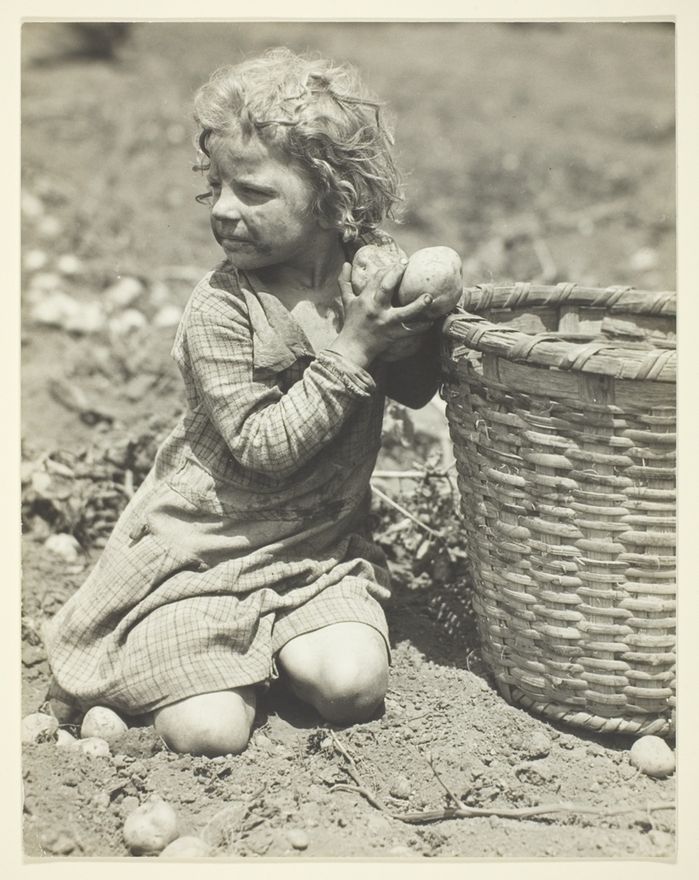 Child Labor on the Farm by Lewis Wickes Hine