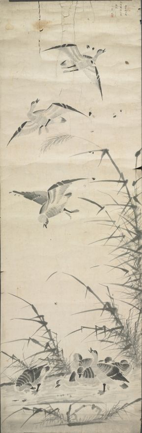 Wild Geese and Reeds by Unknown artist