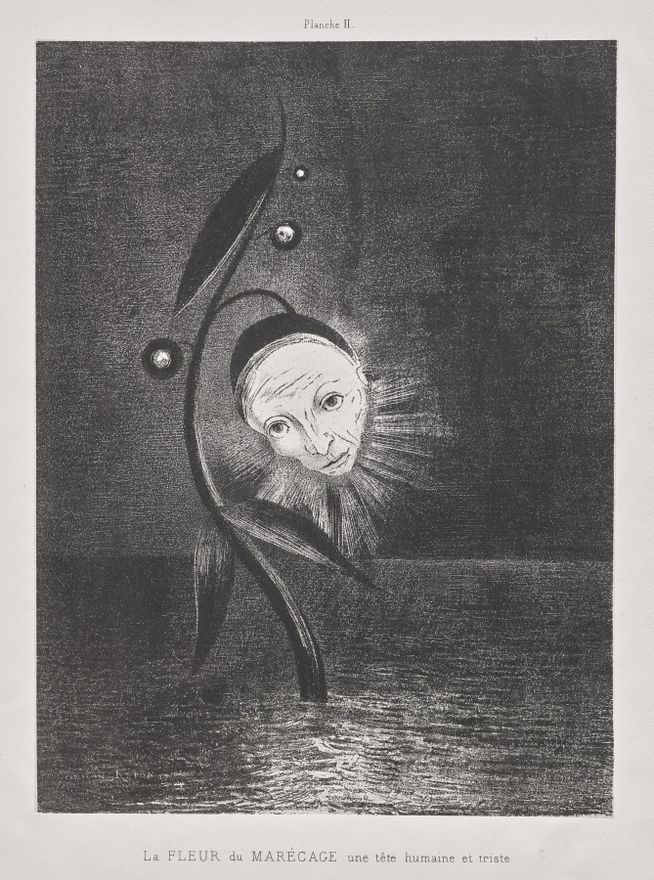 The Marsh Flower, a Sad Human Head by Odilon Redon
