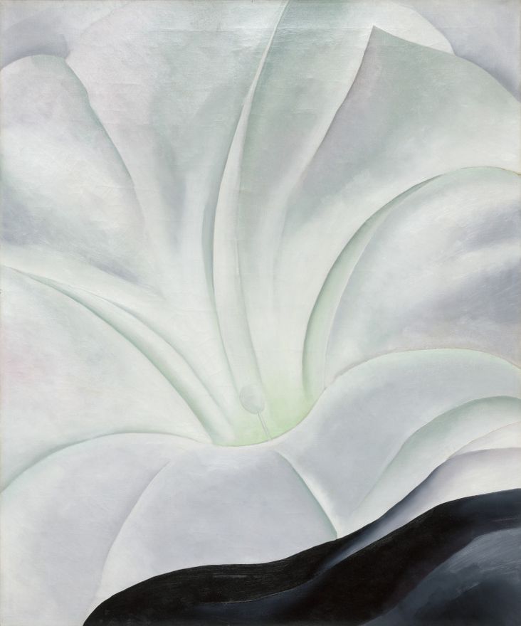 Morning Glory with Black by Georgia O'Keeffe