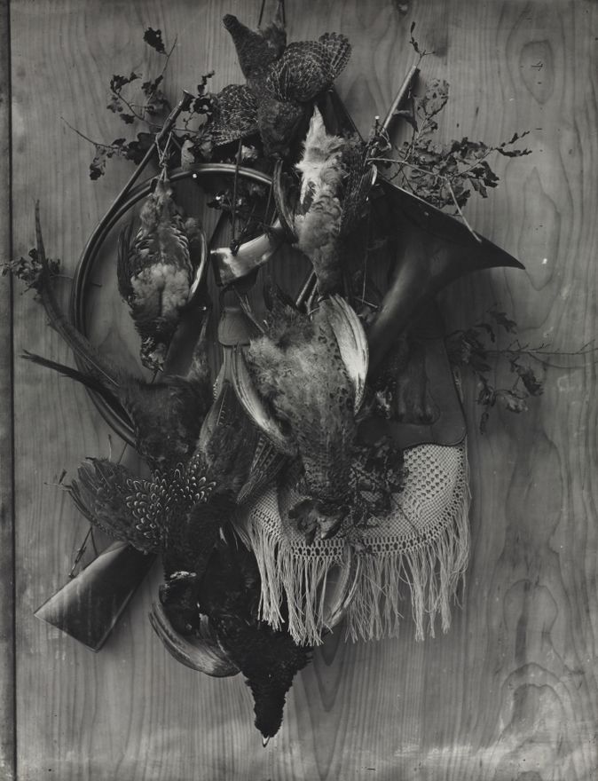 Trophy of the Hunt by Adolphe Braun