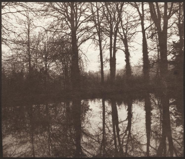Winter Trees Reflected in a Pond by William Henry Fox Talbot
