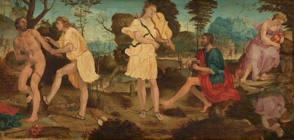 Apollo and Marsyas by Sienese 16th Century, possibly Bartolomeo di David