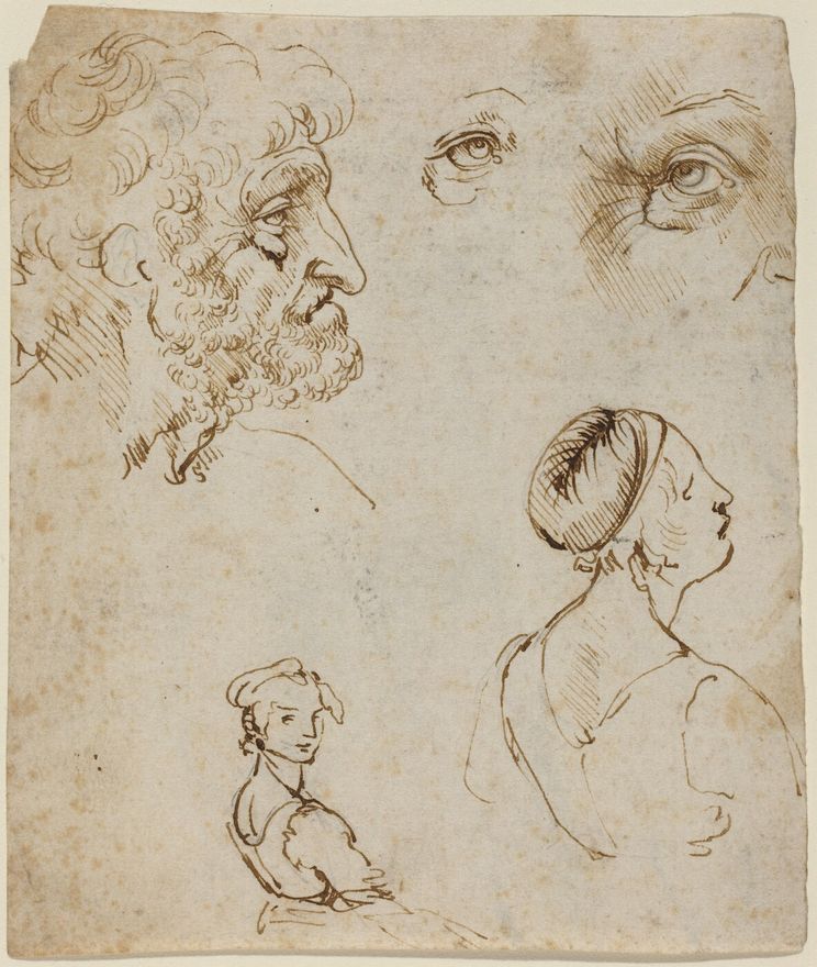 Sheet of Studies [recto] by Leonardo da Vinci