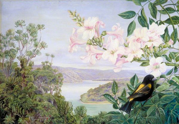 View on the Kowie River with Trumpet Flower in Front by Marianne North