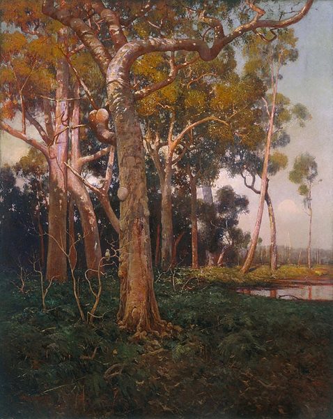 The golden splendour of the bush by W. Lister Lister
